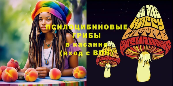 крисы Навашино
