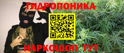 сатива Канаш