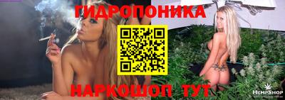 ECSTASY Камышлов