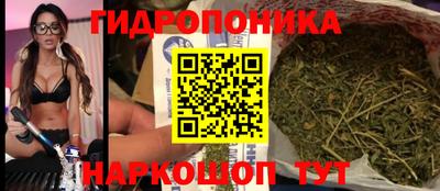 сатива Канаш